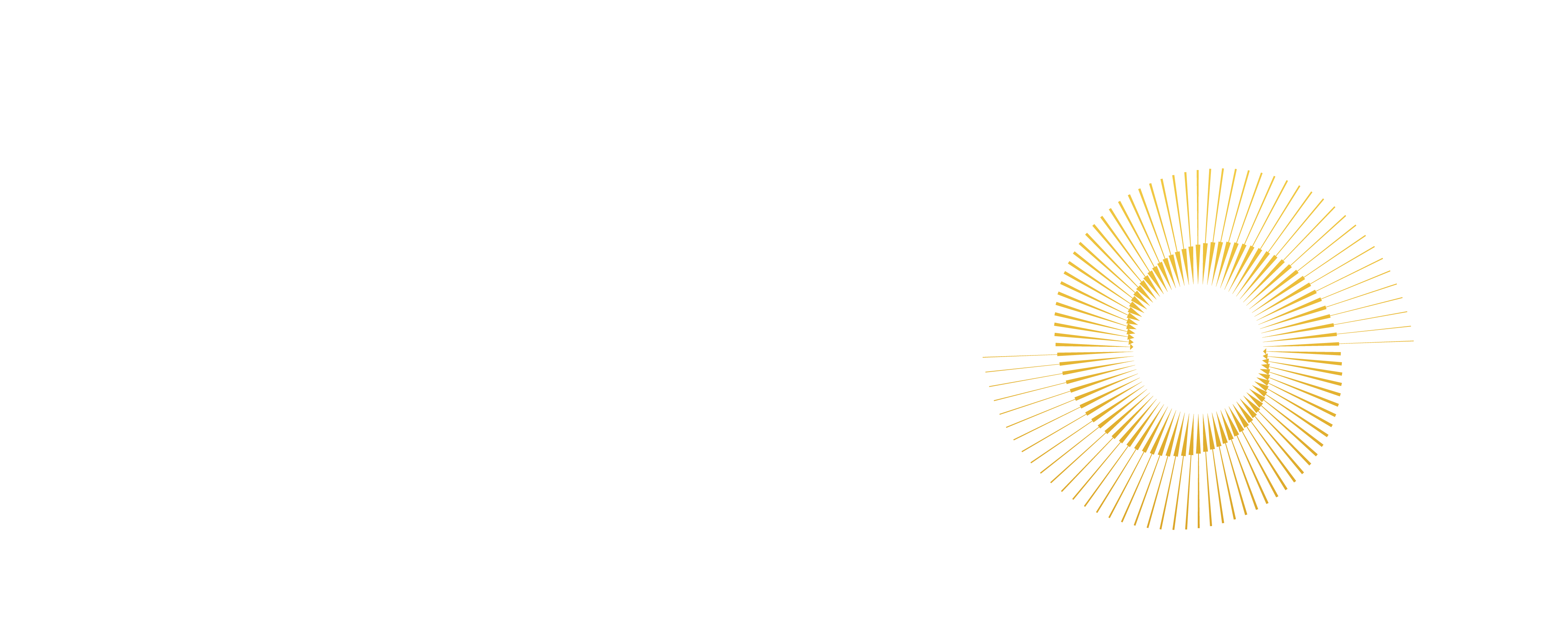 Noor Holding Logo_Arabic-01 copy
