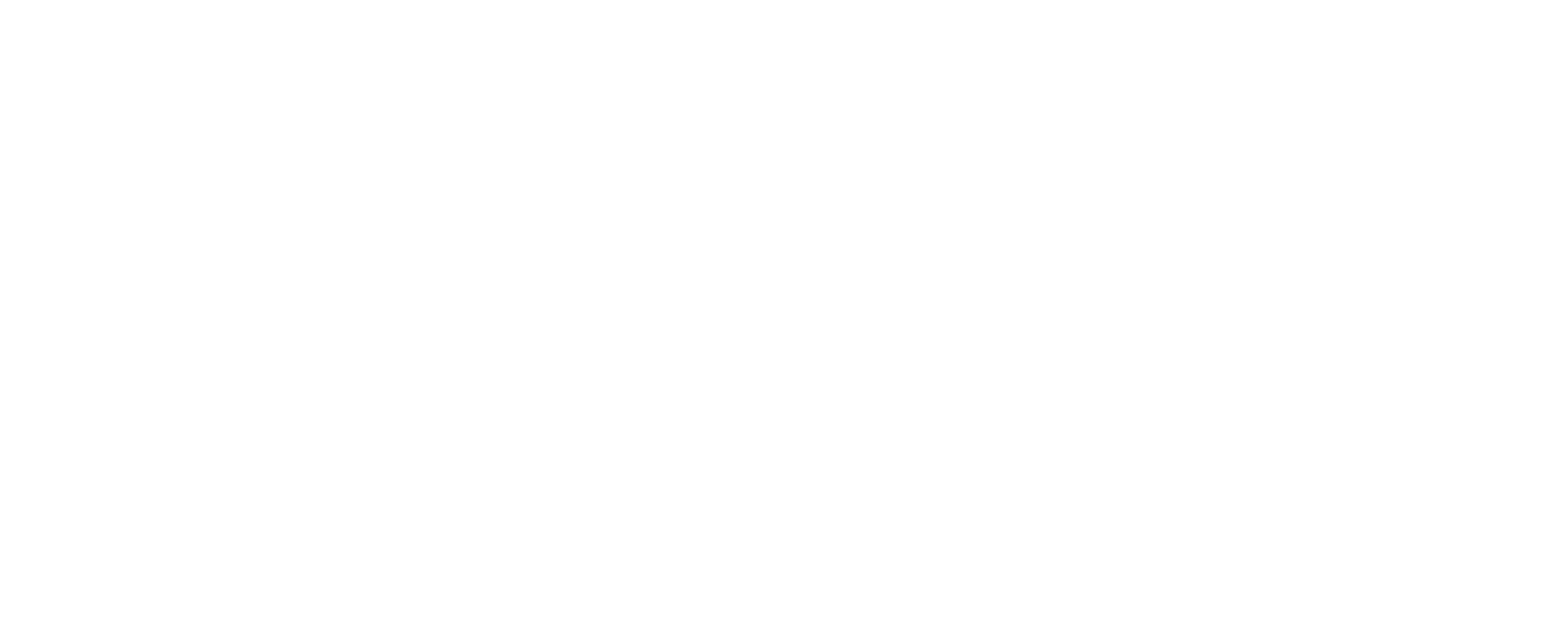 Noor Holding Logo_Arabic_White-01 (2)